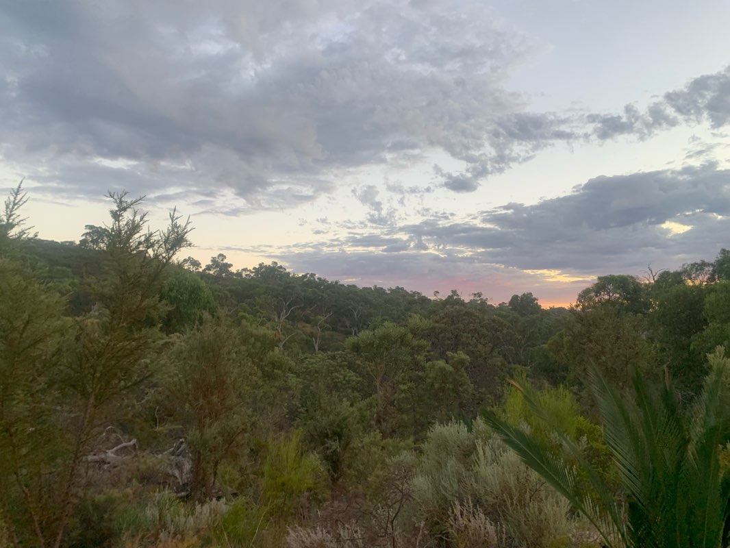 walking near me in Bold Park Botanic Gardens in autumn