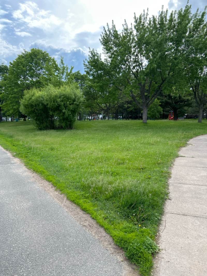 walking near me in Parc Multi-Plus in summer
