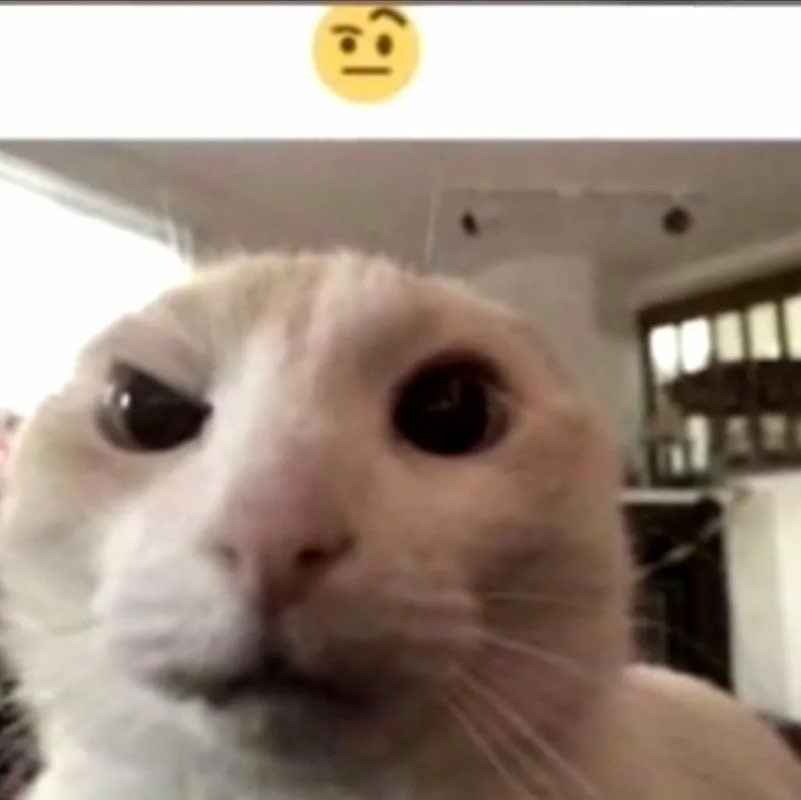 Лягушка Лягушка post image