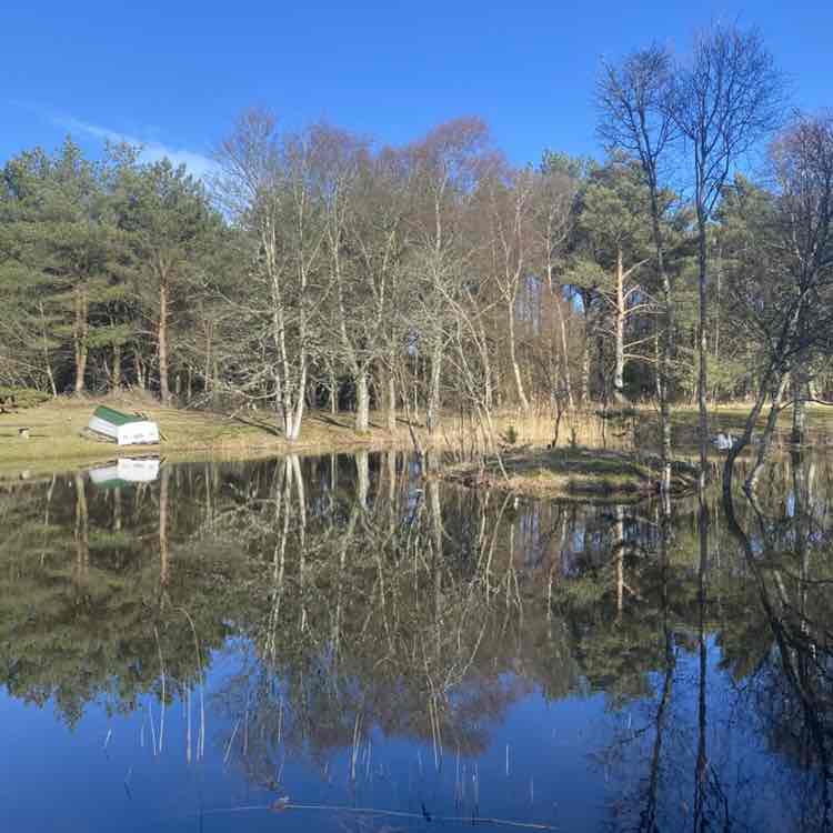 Идущий вдоль моря🌊🇺🇦🇩🇰 Daniil ☯️ post image