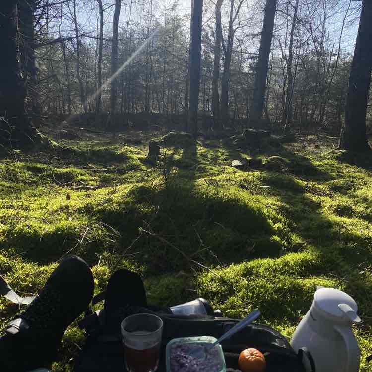 Идущий вдоль моря🌊🇺🇦🇩🇰 Daniil ☯️ post image