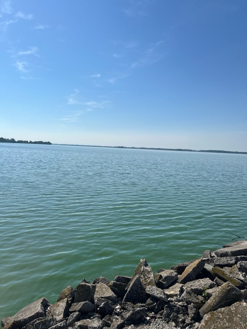 walking near me in Lakeshore Park in summer