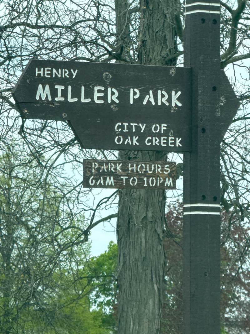 walking near me in Henry Miller Park in spring