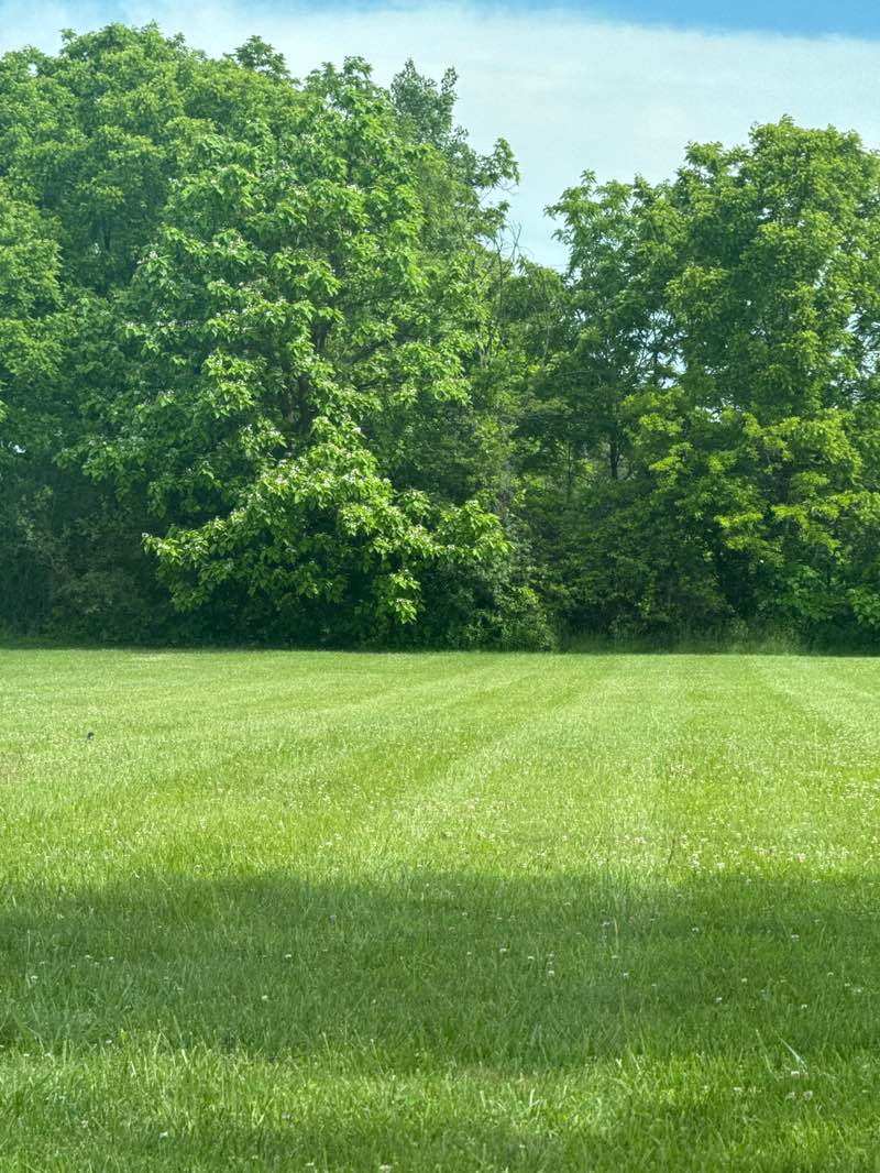 walking near me in Wilkins Park in summer