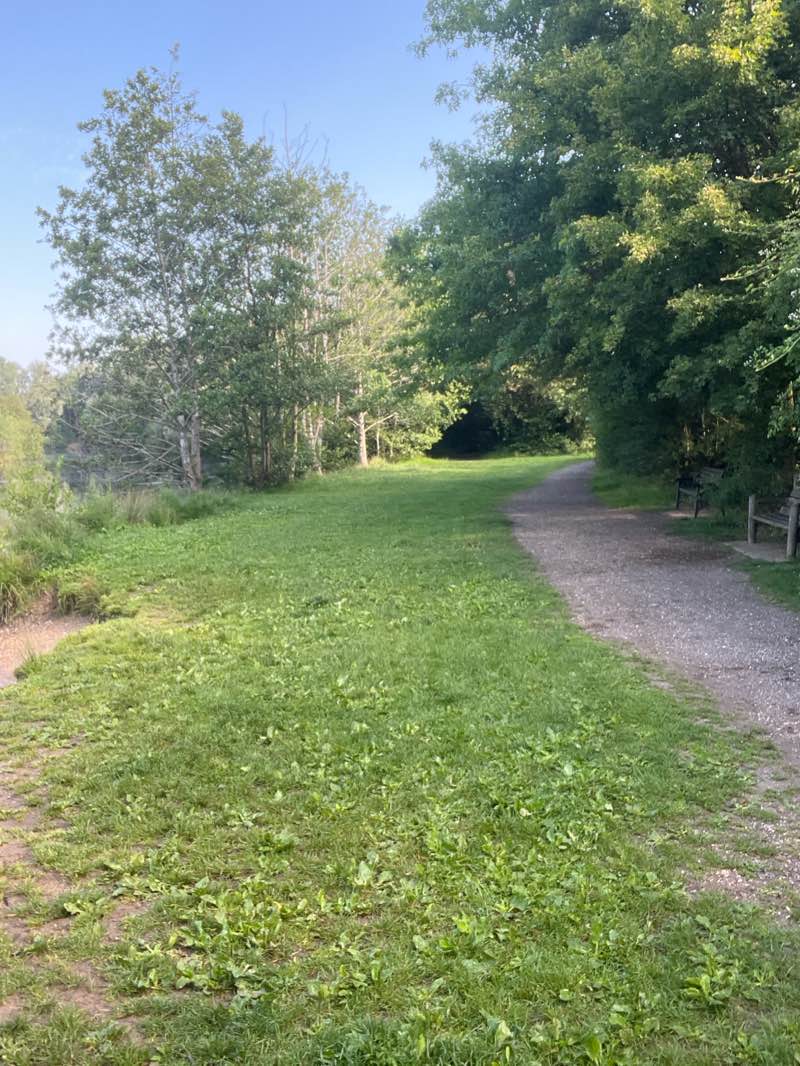 walking near me in Elms Farm Park in summer