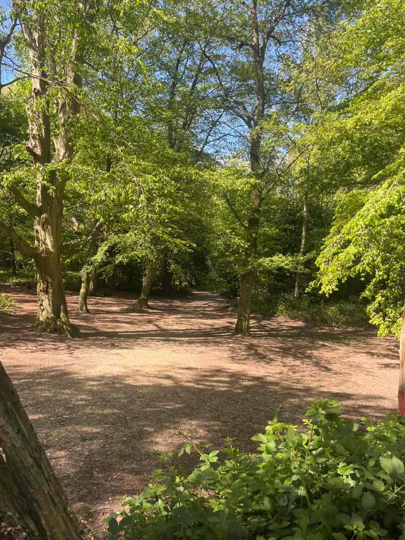 walking near me in Danbury Country Park in spring