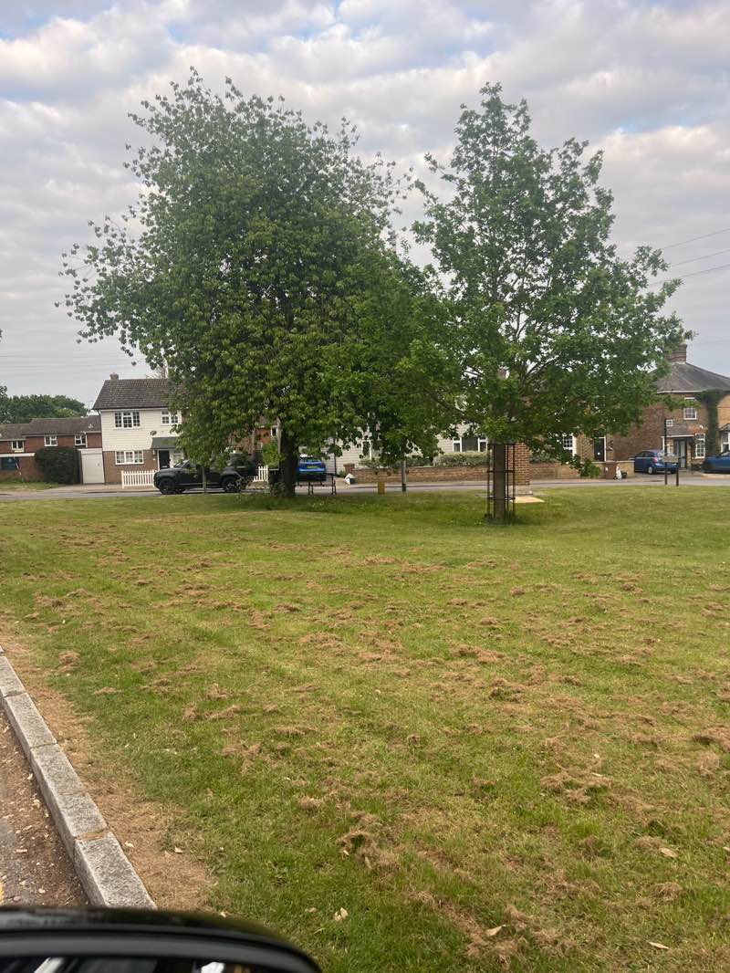 walking near me in Church Green in spring