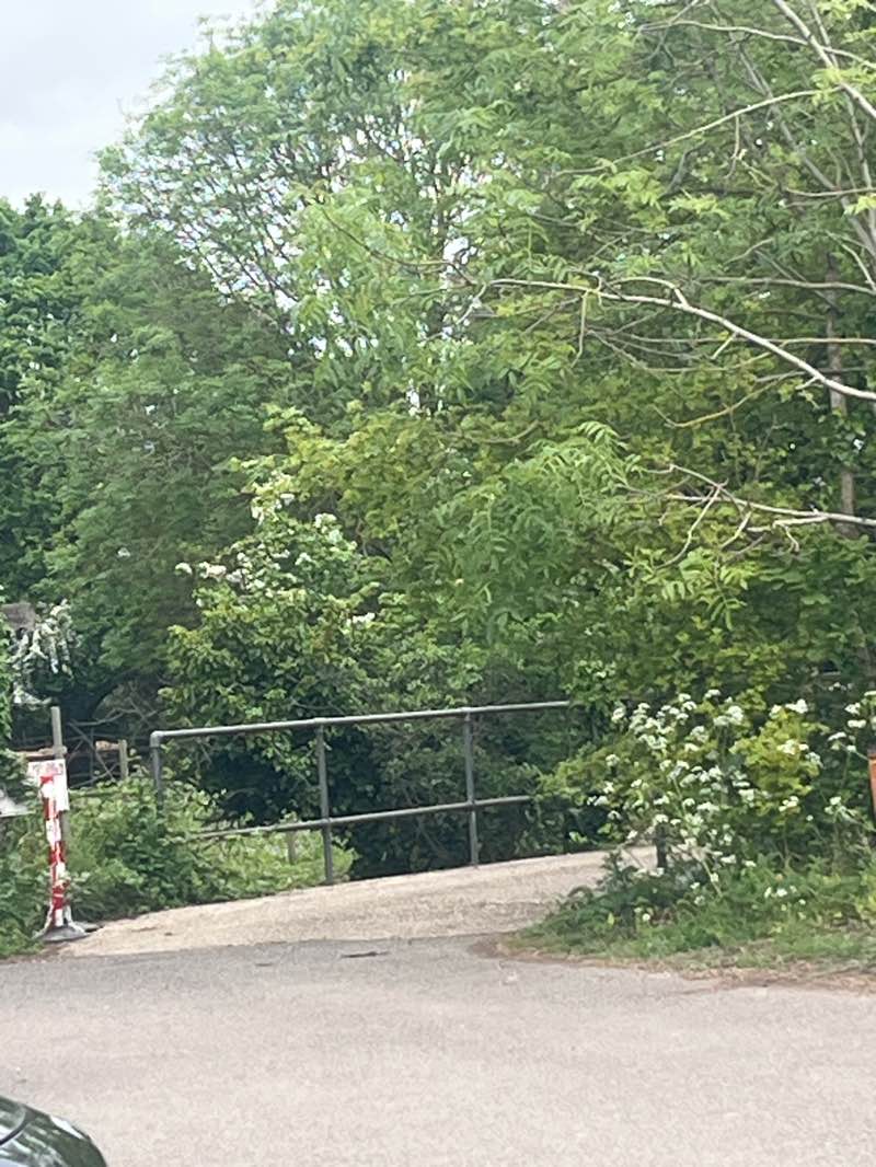 walking near me in Drapers Farm in spring