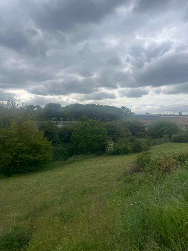 walking near me in Brain Valley Park in spring