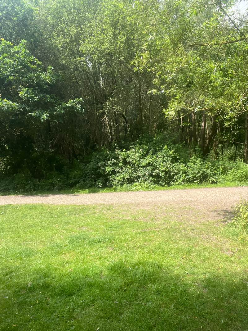 walking near me in Elms Farm Park in summer