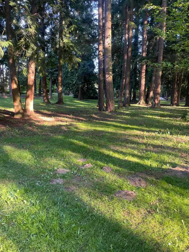 walking near me in Hillcrest Park in spring