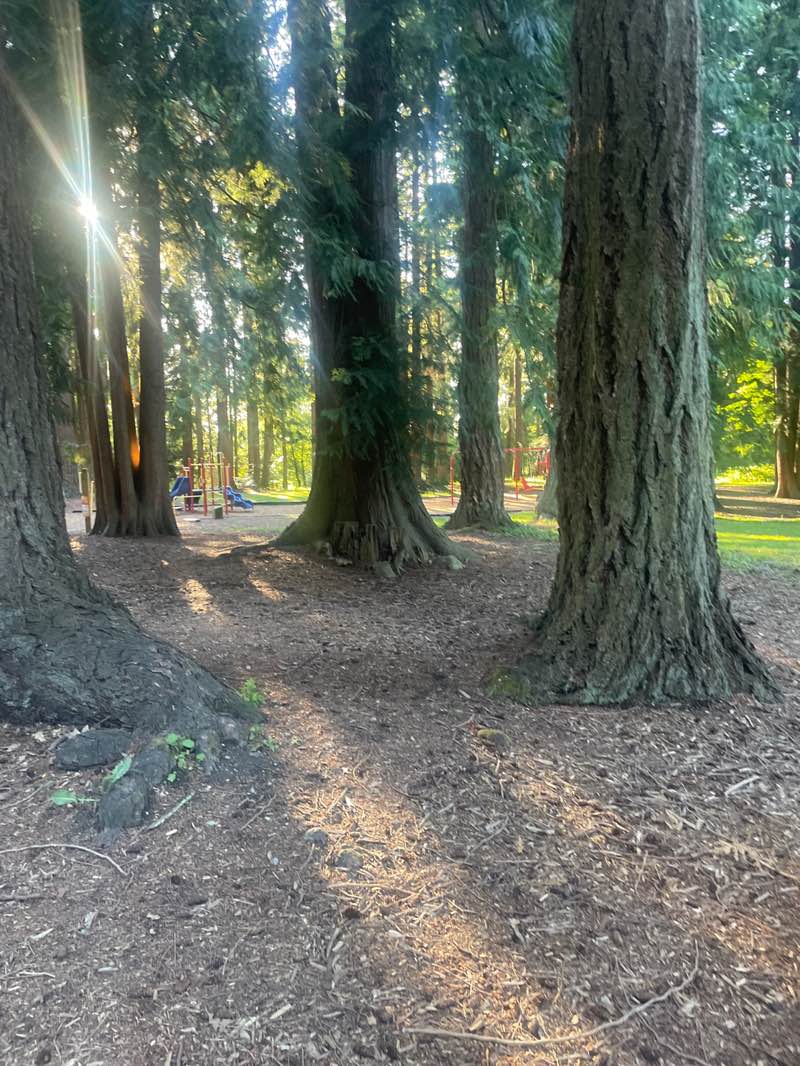 walking near me in Hillcrest Park in summer