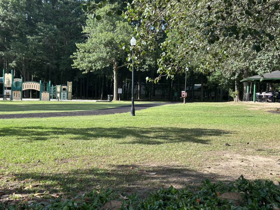 walking near me in Charles Daniel Memorial Park in summer