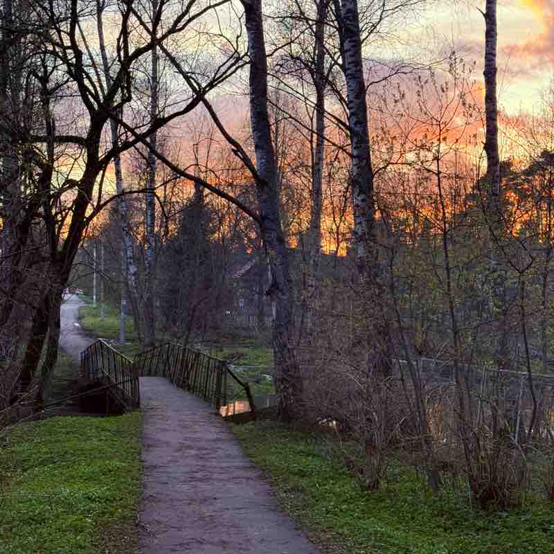 🌳 Step-A-Thon🌳 Kurush post image