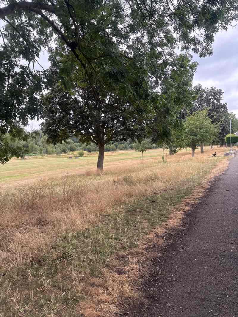 walking near me in Ise Valley Parklands in summer
