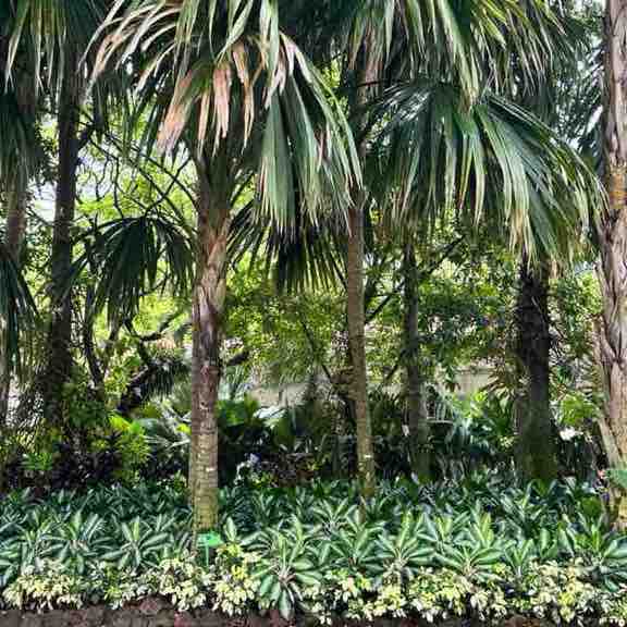 TNT Community Steppers Shazz post image