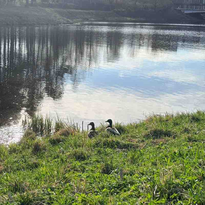 AlenKa  St. Petersburg post 2