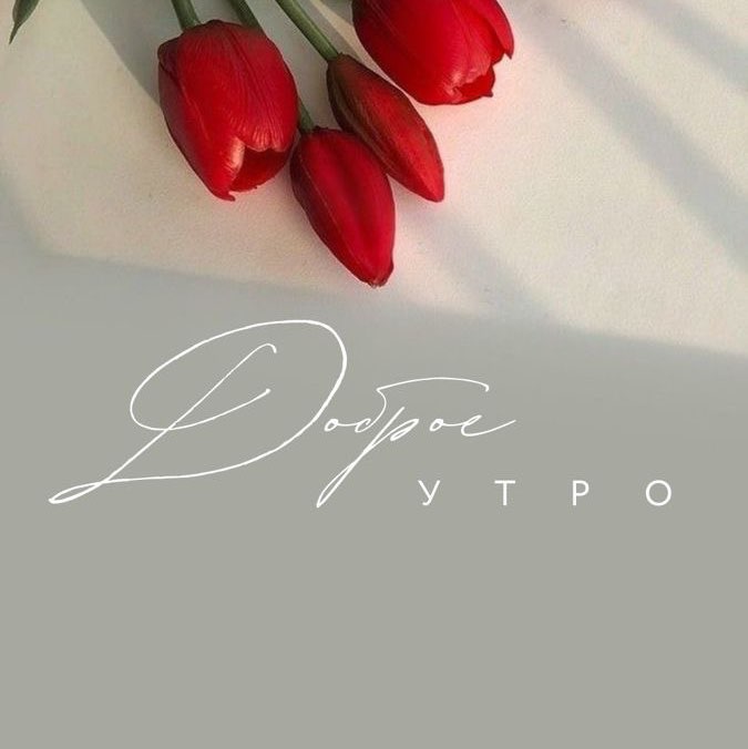 Путь к Победе 46_Анастасия Гришаева post image