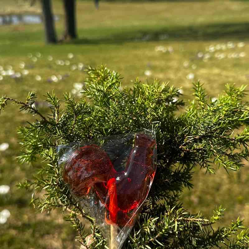 Malūnėlio iššūkis simona post image