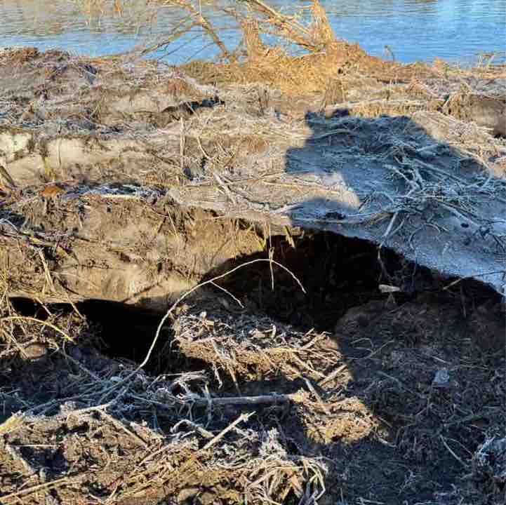 Malūnėlio iššūkis Meda post image