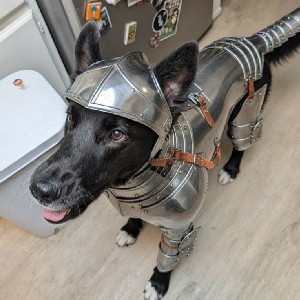 DennyTron6000