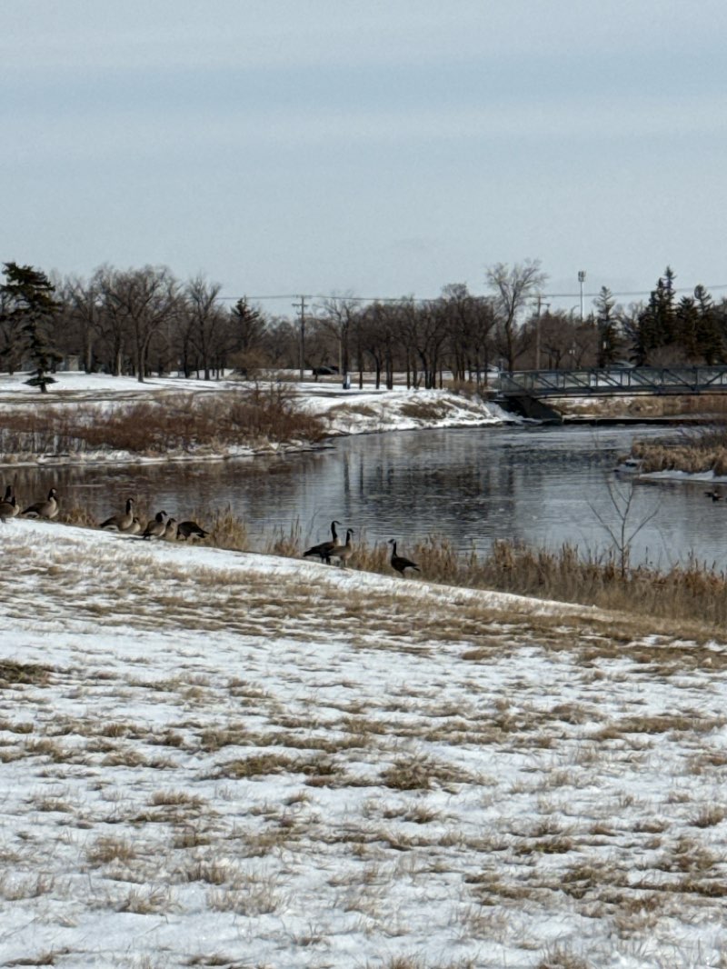 walking near me in A.E. Wilson Park East in spring