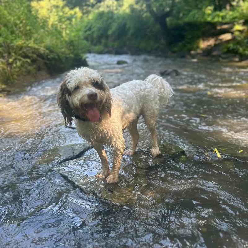 Chloe post 3