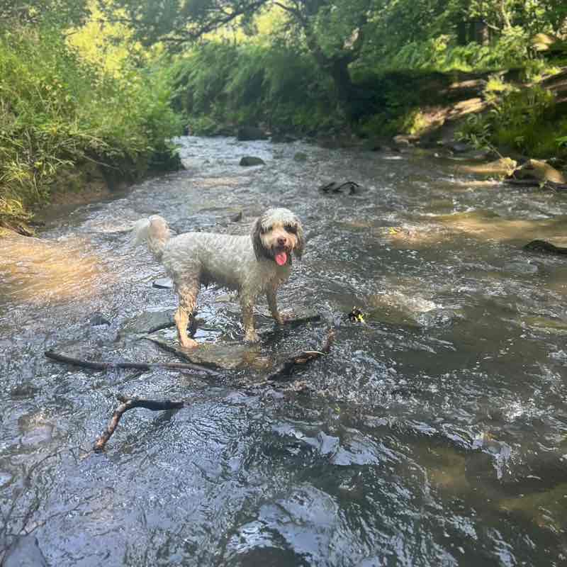 Chloe post 2