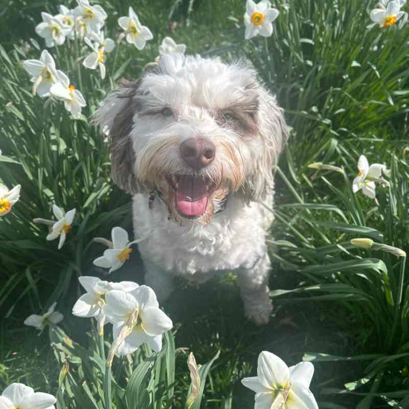 Chloe post 1