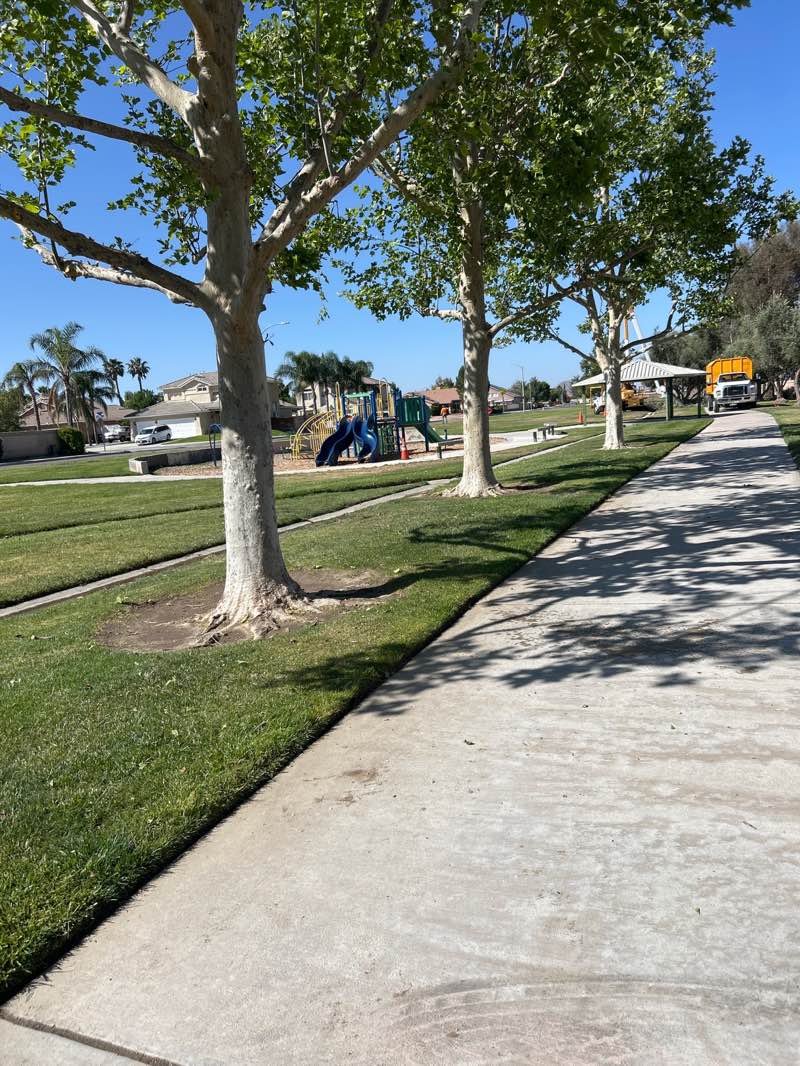 walking near me in Sky View Park in spring