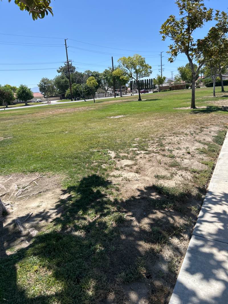 walking near me in Bolander Park in summer