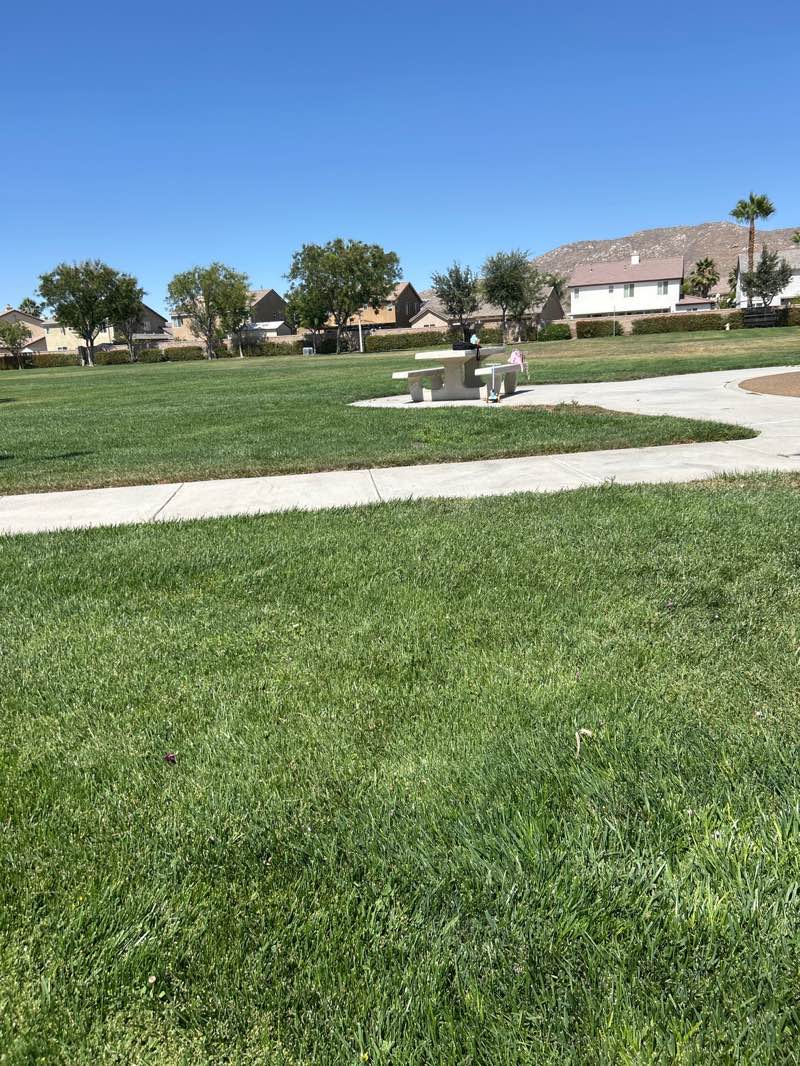 walking near me in Catalpa Park in summer