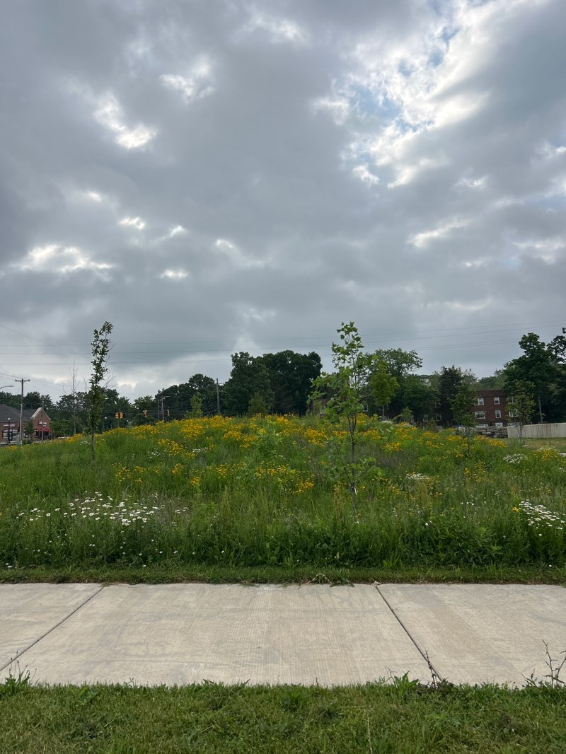 walking near me in Ranney Park in summer