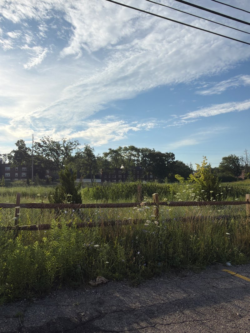 walking near me in Ranney Park in summer