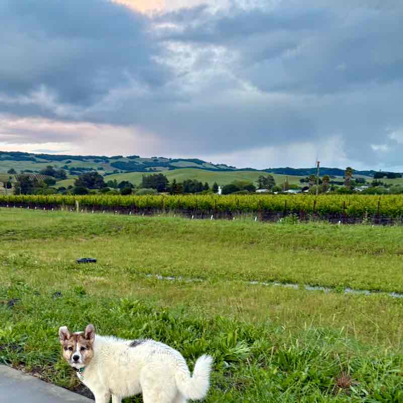 Circana -  CAP Kathy Sammarco post image