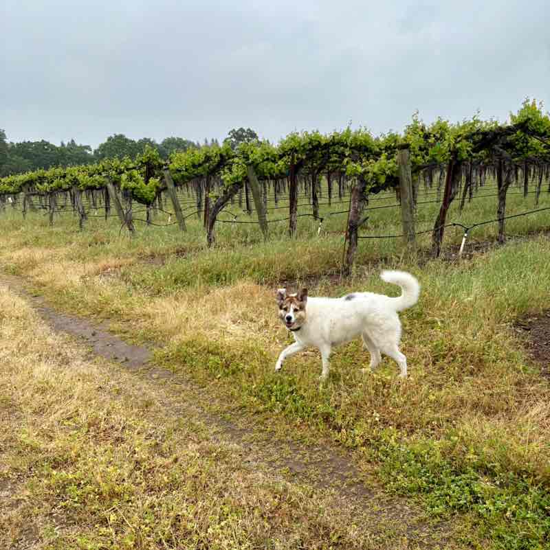 Circana -  CAP Kathy Sammarco post image