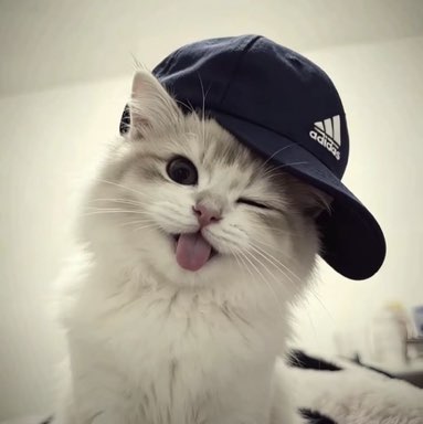 𝒕𝒊𝒏𝒈 profile