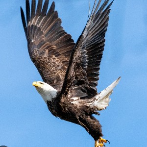 Jack S profile