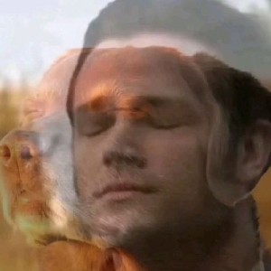 бутерброд с маслом profile