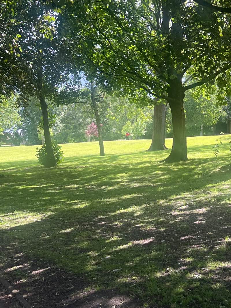 walking near me in Clowes Park (Broughton Park) in summer