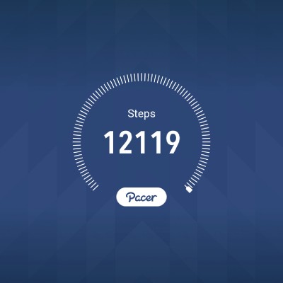 Walking Turtles Juneaux post image