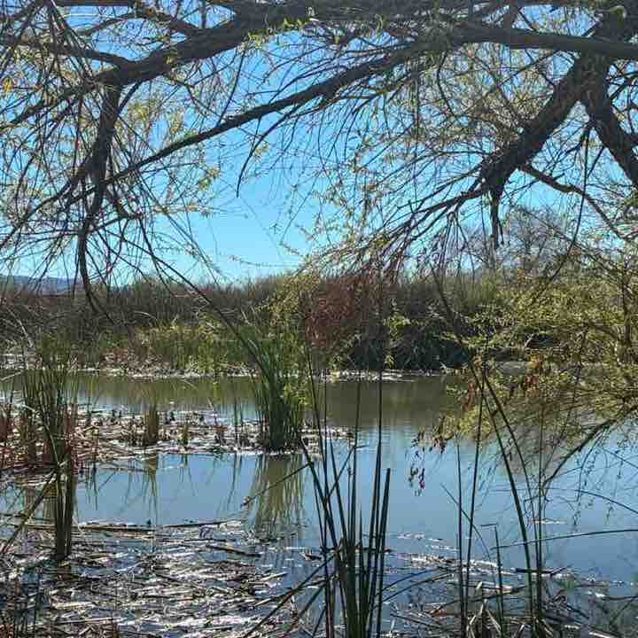 Goal of 10K steps daily. Join me Heavenlee post image