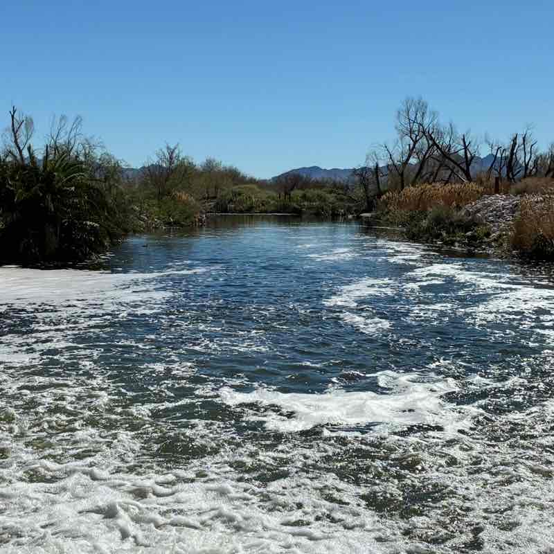 Goal of 10K steps daily. Join me Heavenlee post image