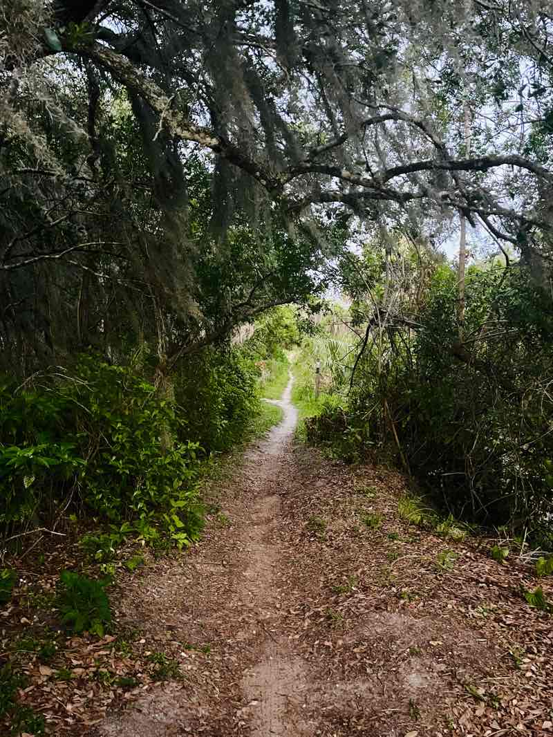 walking near me in Grapefruit Bike Trails in spring