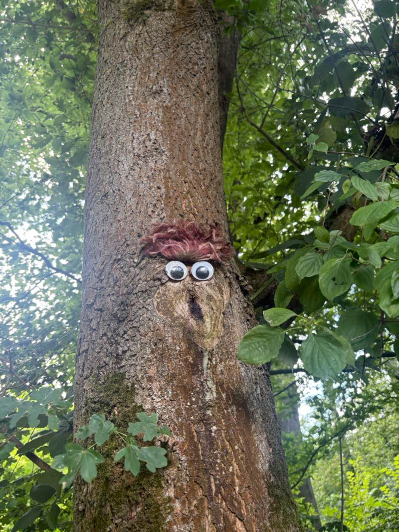 walking near me in Westerpark in summer