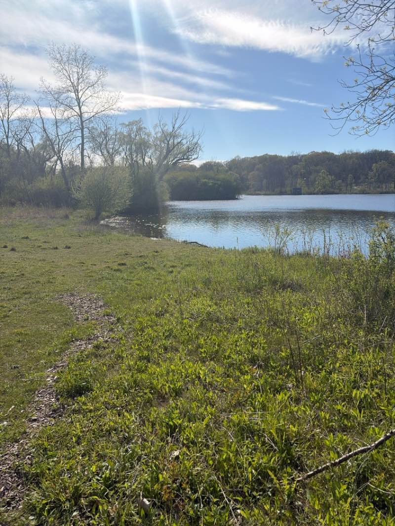 walking near me in Whitnall Park in spring