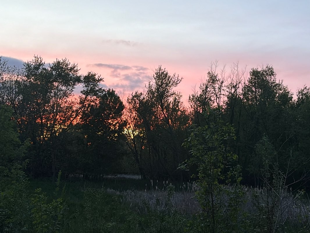 walking near me in Saint Martins Park in summer