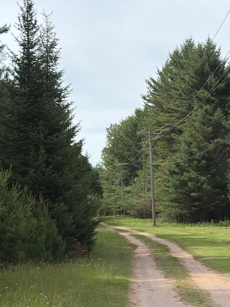 walking near me in Minnesota Street Park & Playground in summer