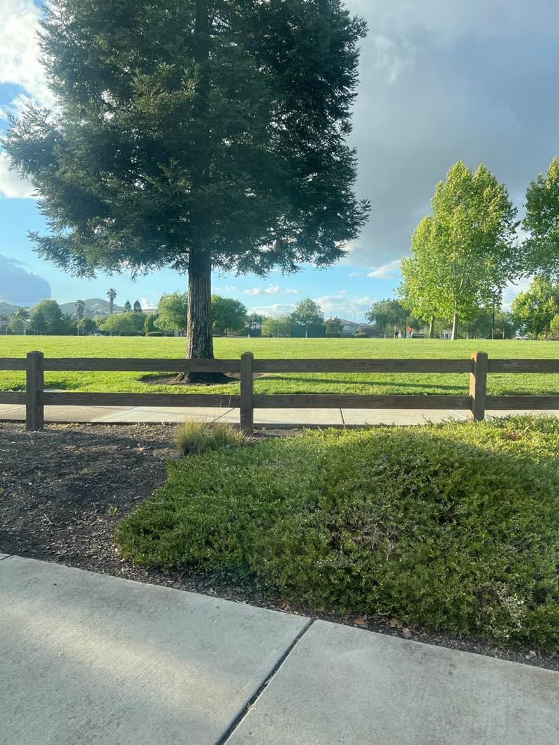 walking near me in Sunrise Park in spring