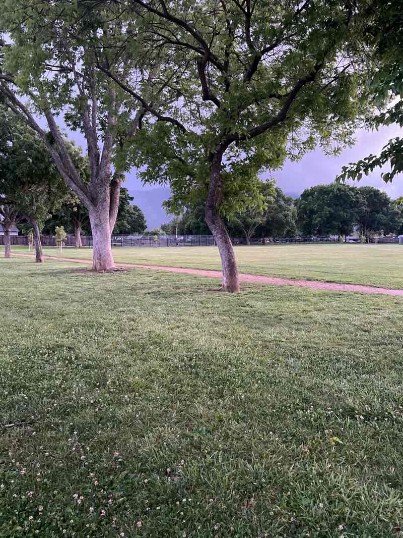 walking near me in El Roble Park in spring